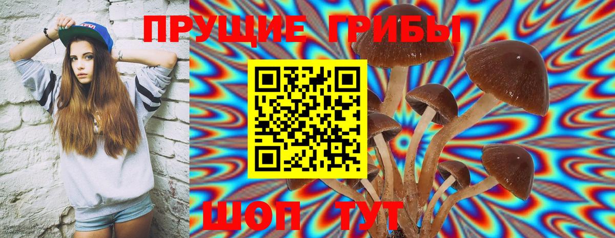 Галлюциногенные грибы MAGIC MUSHROOMS Чистополь
